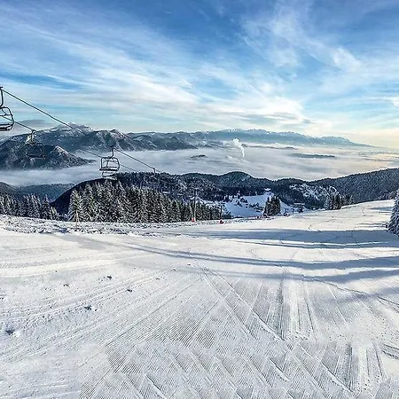 Olivia A Olympia Liptov